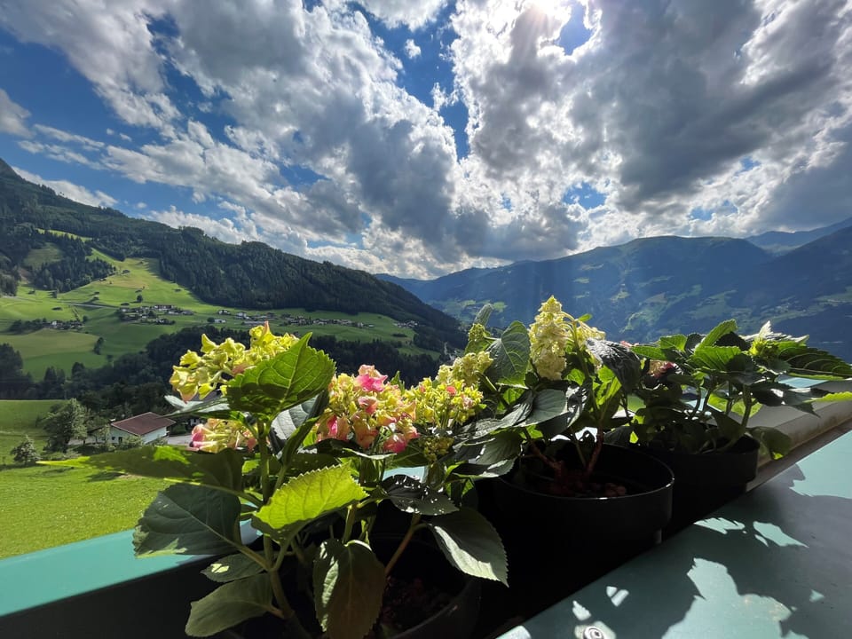 View from property