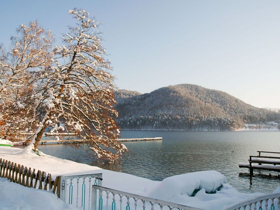 Sky, Water, Daytime, Snow, Nature, Natural Landscape, Wood, Tree, Mountain, Fence