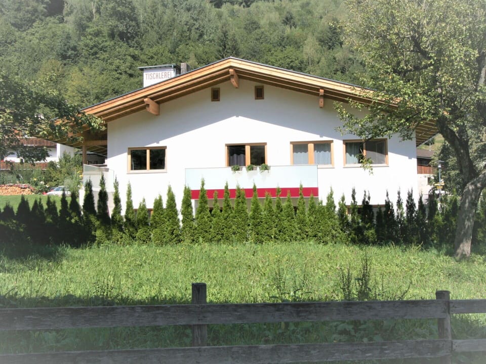 Plant, Building, Window, Tree, House, Land Lot, Grass, Cottage, Residential Area, Fence
