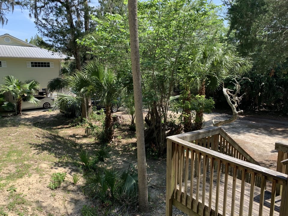 View from porch!