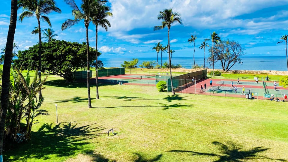 Sport court