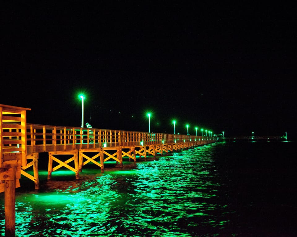 Fulton Pier - just rebuilt and opened! Great fishing just across the street!