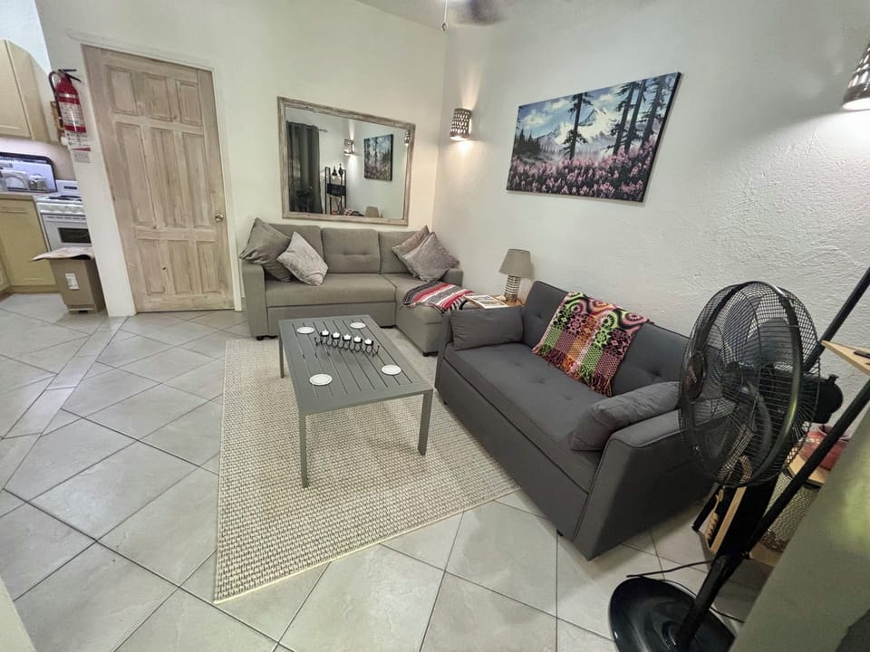 Both Sofa Beds 