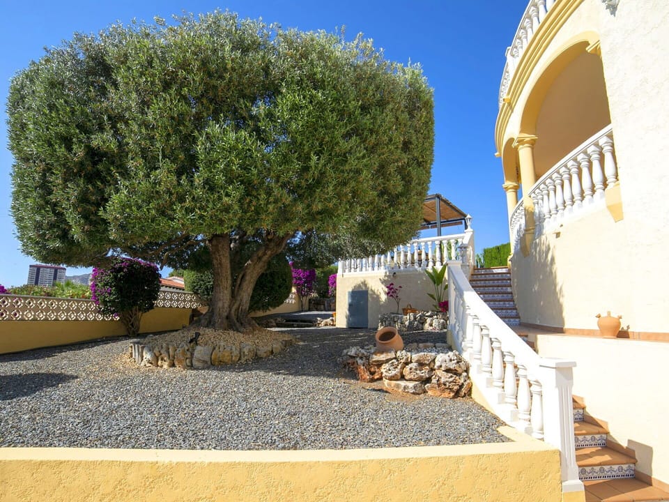 Shrub, Woody Plant, Garden, Shade, Landscaping, Flowerpot, Houseplant
