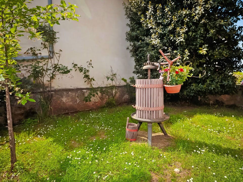Garden, Yard, Tree, Grass, Spring, Plant, Lawn, Backyard, Shrub, Flower