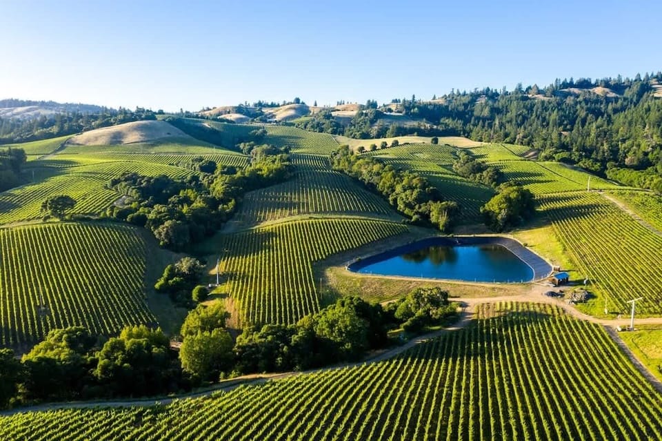 Explore picturesque vineyards – a journey through scenic beauty and fine wines.