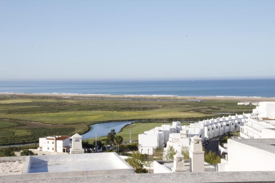 Beach/ocean view