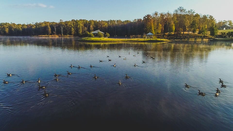 Geese enjoy the fully stocked 20-acre lake.