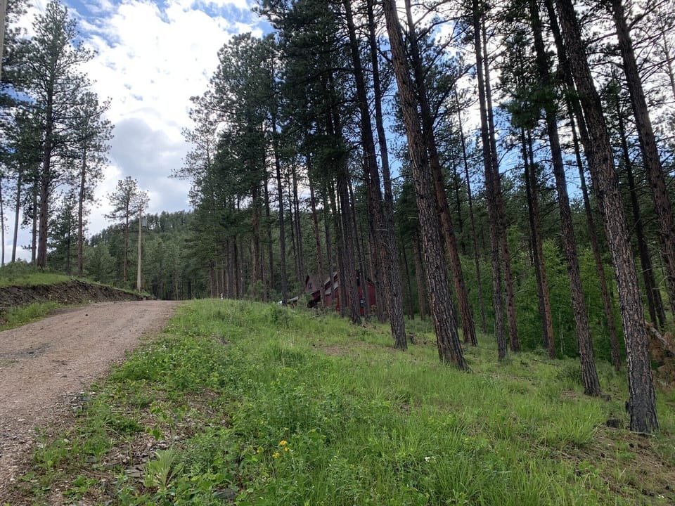 Fairly steep gravel driveway 