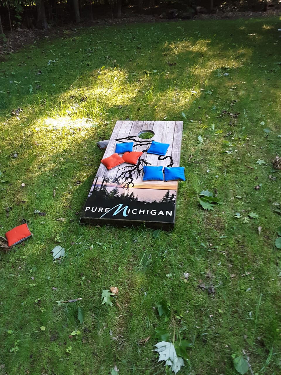 Cornhole game boards