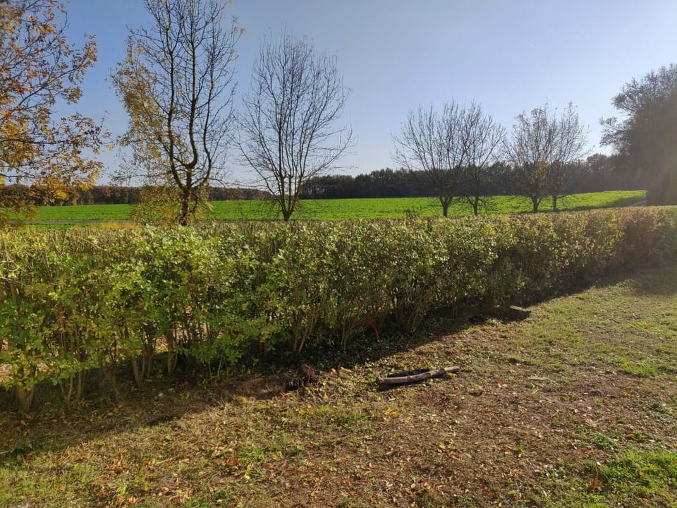 Garden area and neighboring field!