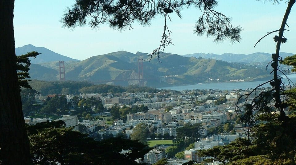 Buena Vista Park View from the top. A 30 Minute Walk (And Climb!) and Worth It!