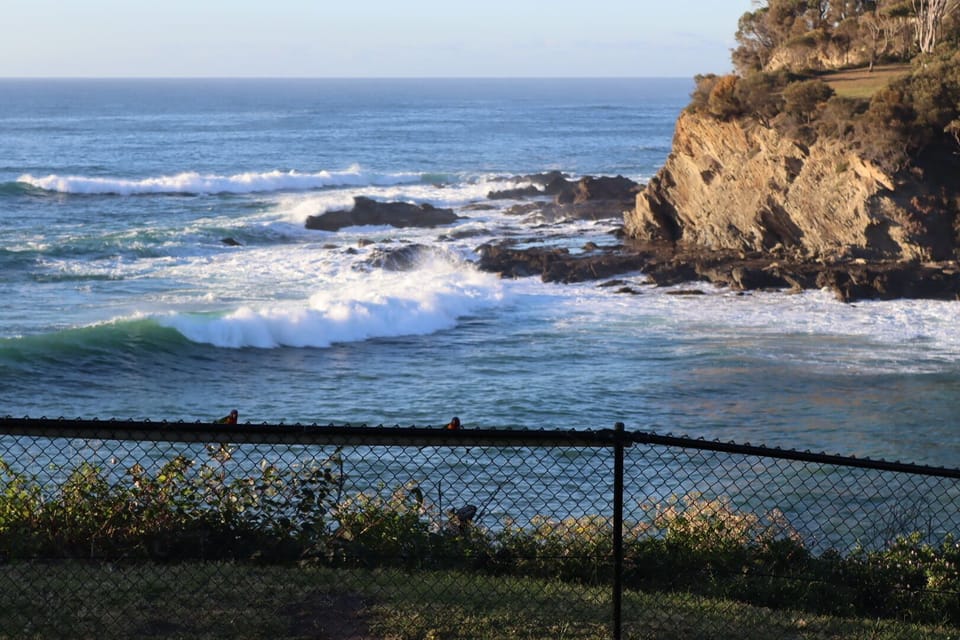 View from the back yard
