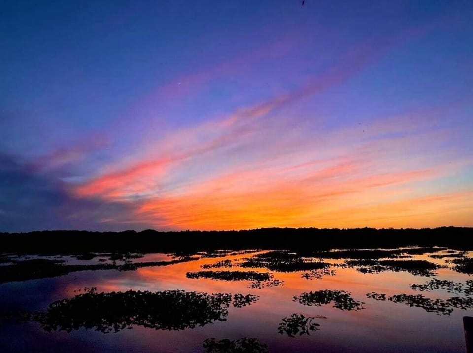 b203440c-8162-4347-907a-b1e90e2edd38