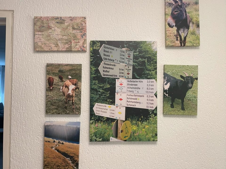 Livestock, Pack Animal, Picture Frame, Collection, Horse