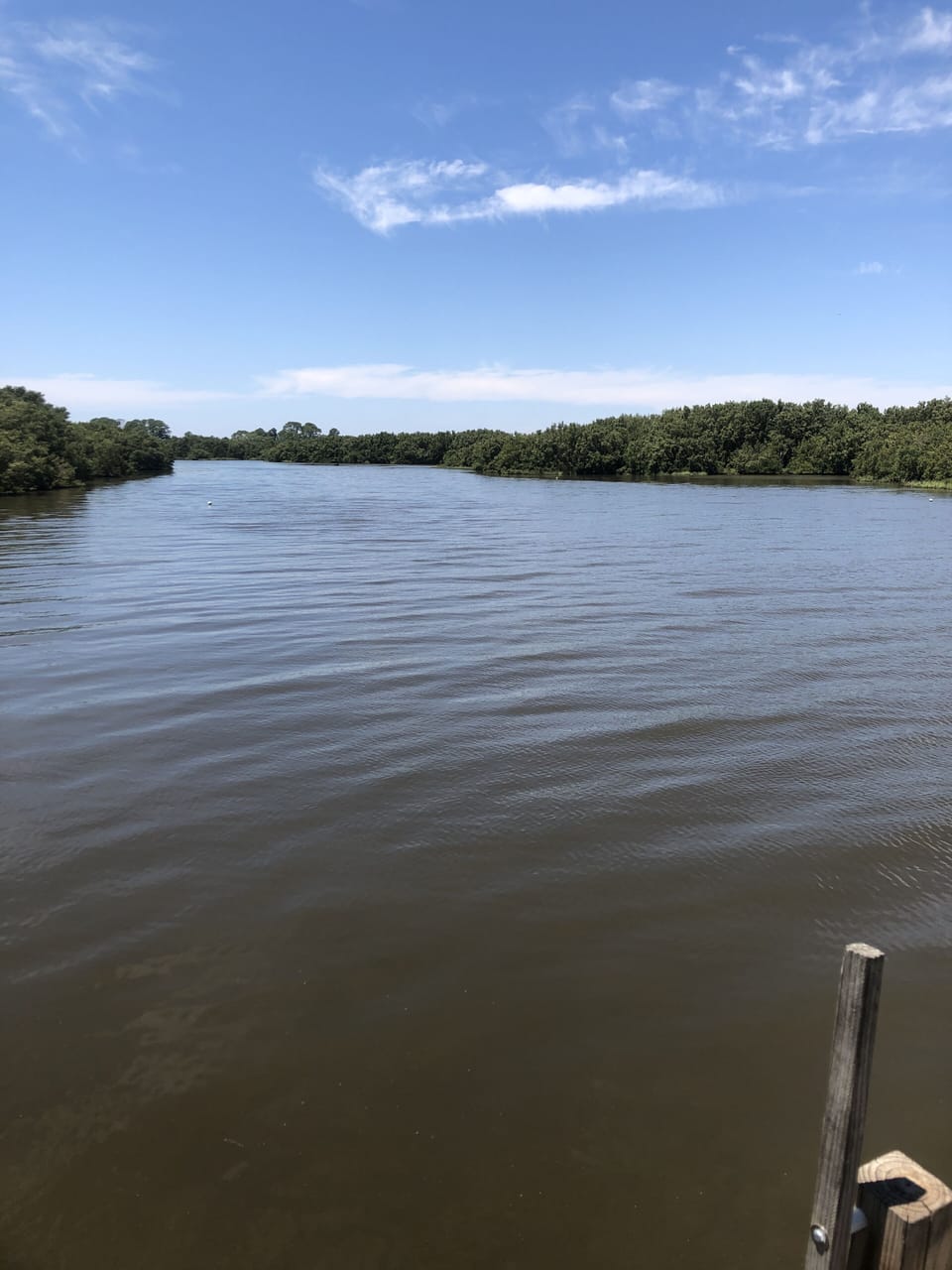 High tide dock view. 