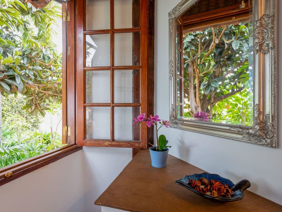 Table, Plant, Property, Tableware, Window, Flowerpot, Wood, Flower, Leaf