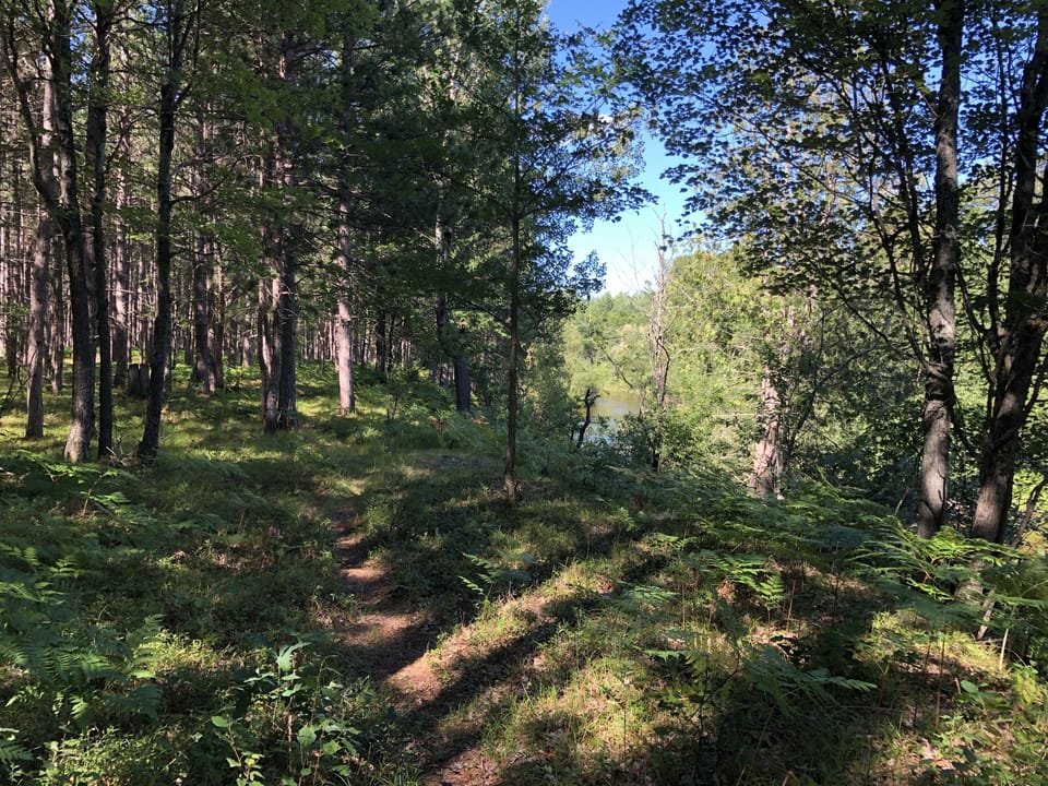 The river bank trail, extending out over state land