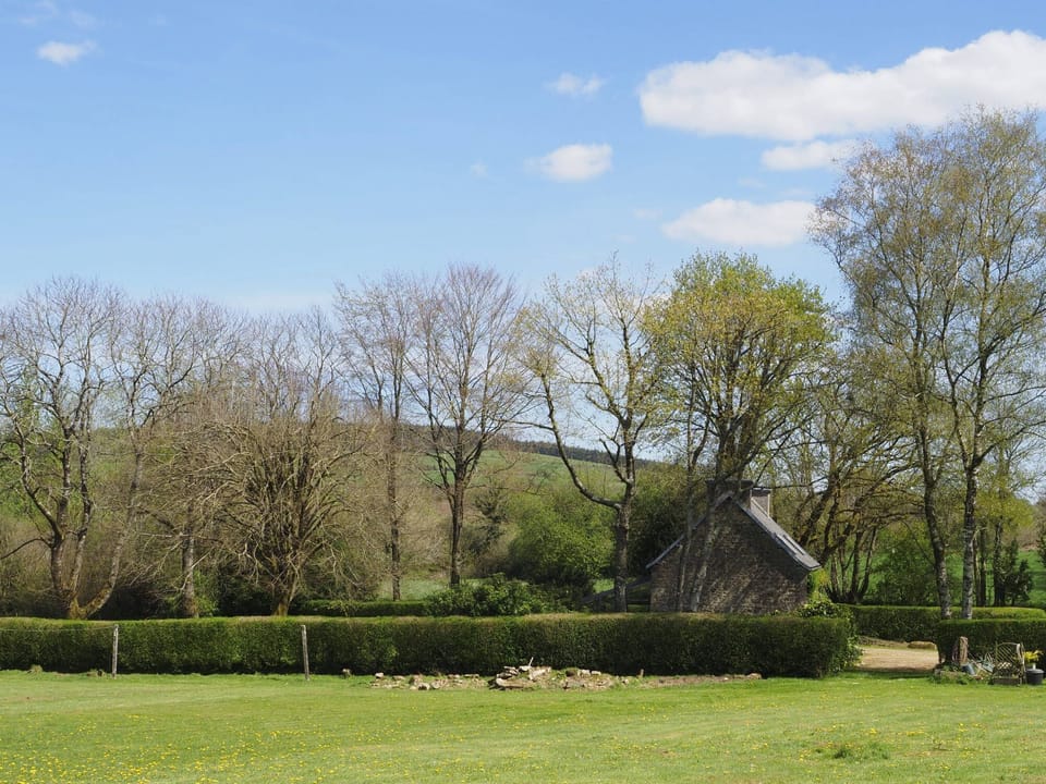 Our meadow next to the house