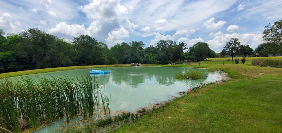 Large pond for catch and release or just floating around!