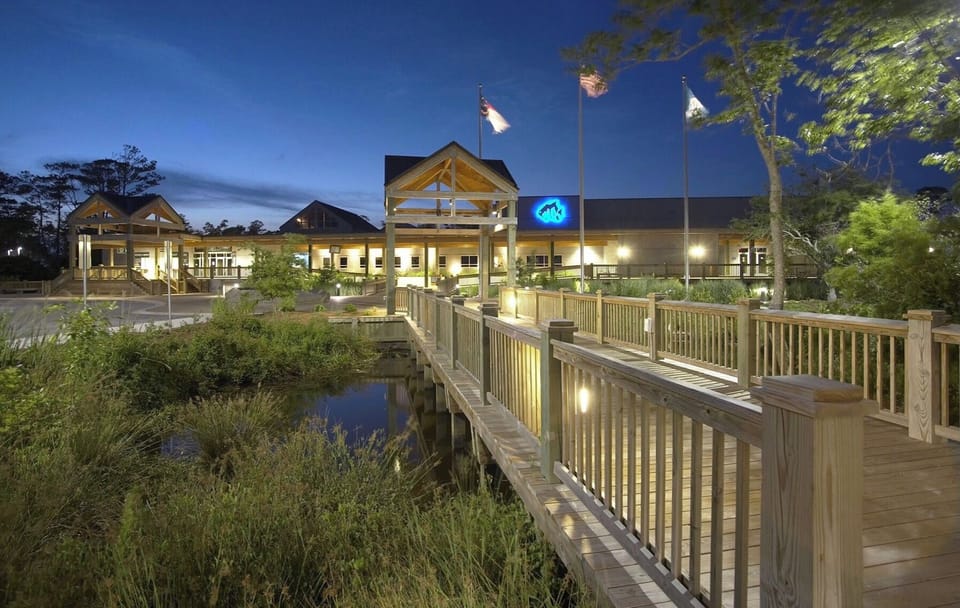 Pine knoll shores aquarium 