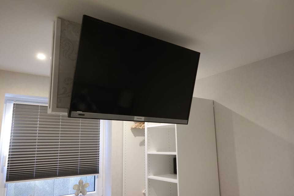 Television