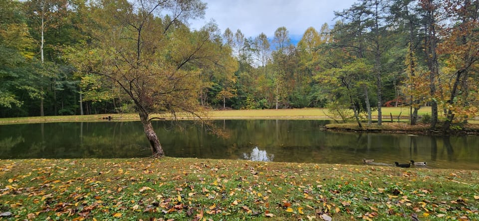Resort Catch & Release Pond