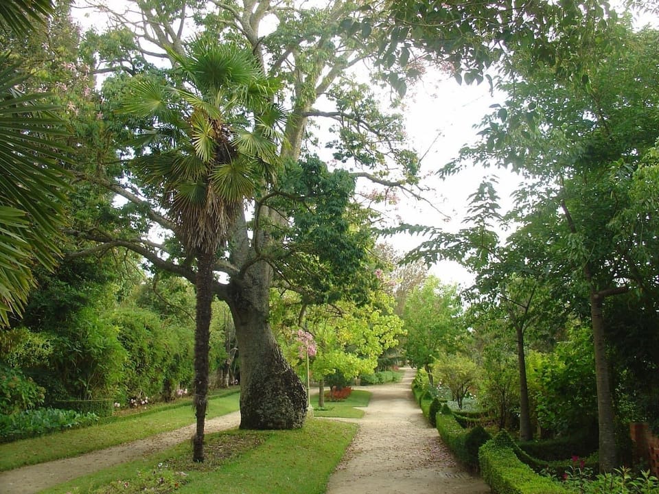 Castelo de Abrantes - Jardim