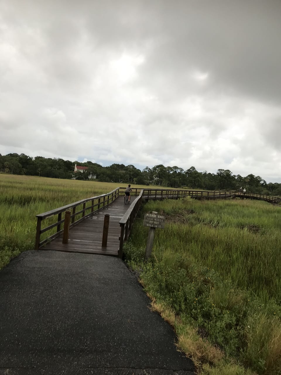 Marsh walk