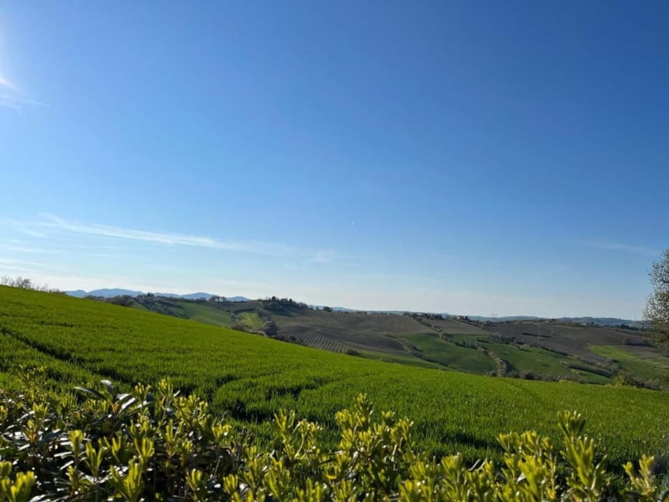 Region [summer] (>5 km)