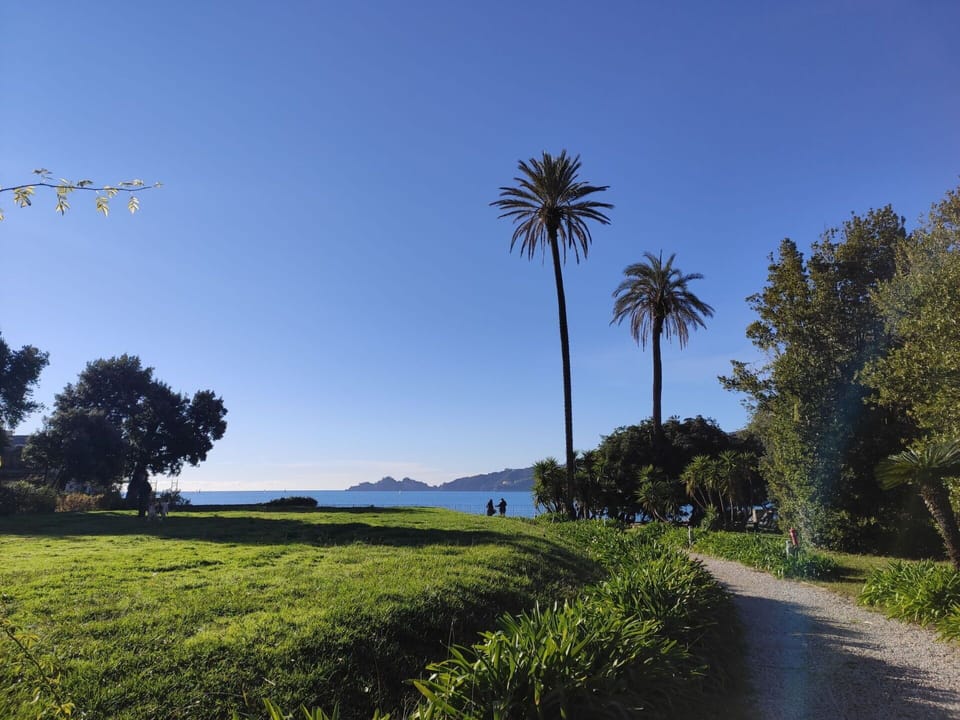 Sky, Plant, Ecoregion, Natural Landscape, Leaf, Tree, Azure, Vegetation, Arecales, Land Lot