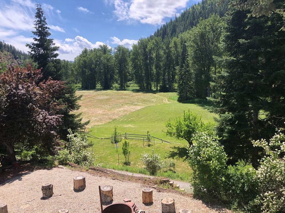 View from deck