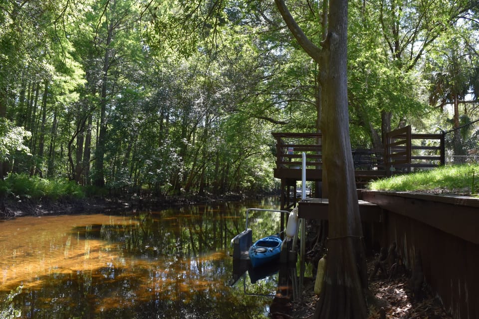 very private location with wildlife viewing from the backyard