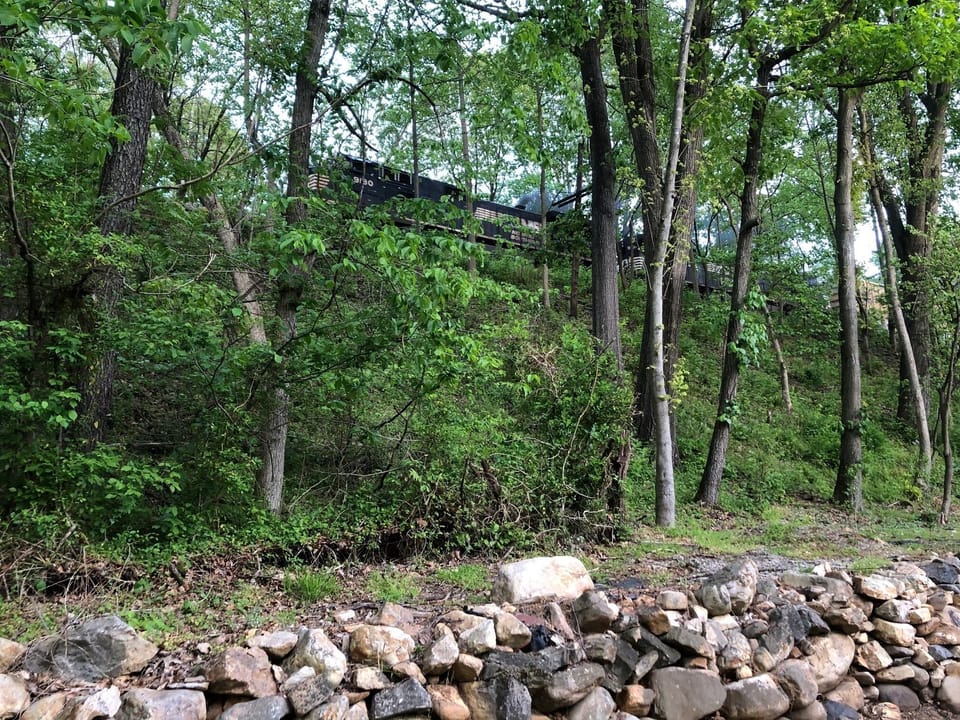 View of Norfolk and Southern locomotive from the back of our property. 