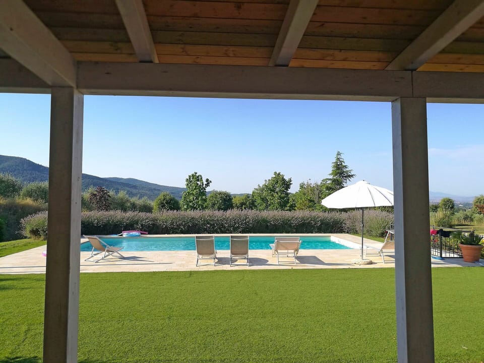 Swimming pool and garden