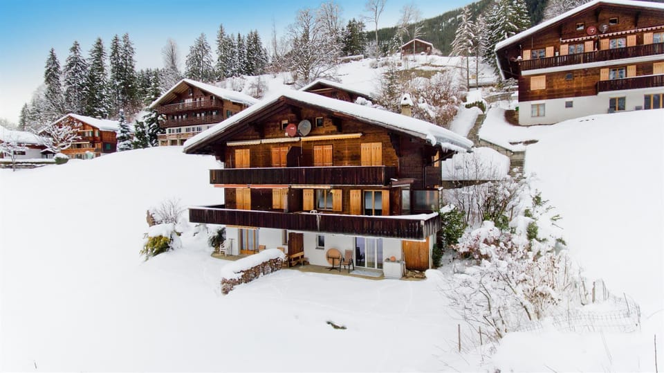 Apartment Grindelwaldgletscher