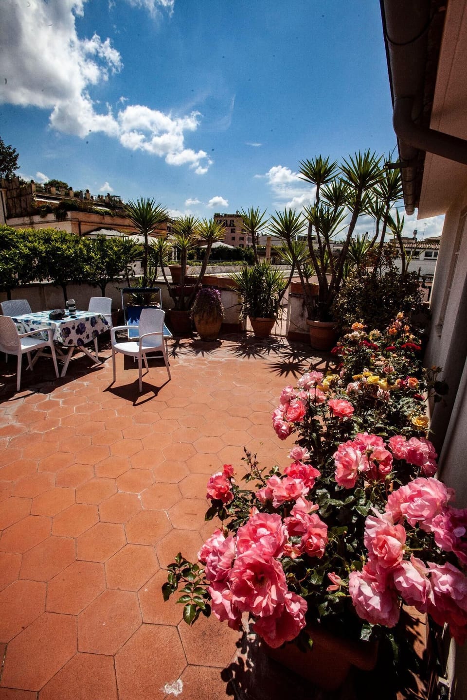 Terrace