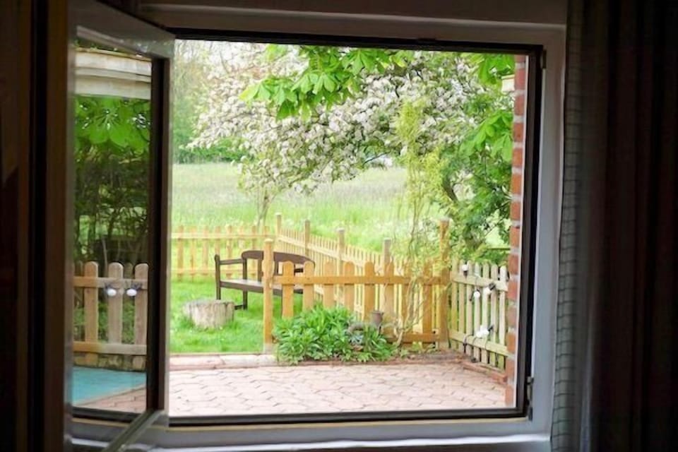 View from the window