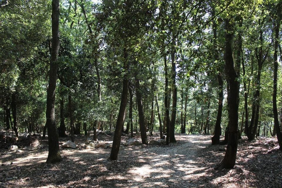 Area that directly surrounds the property