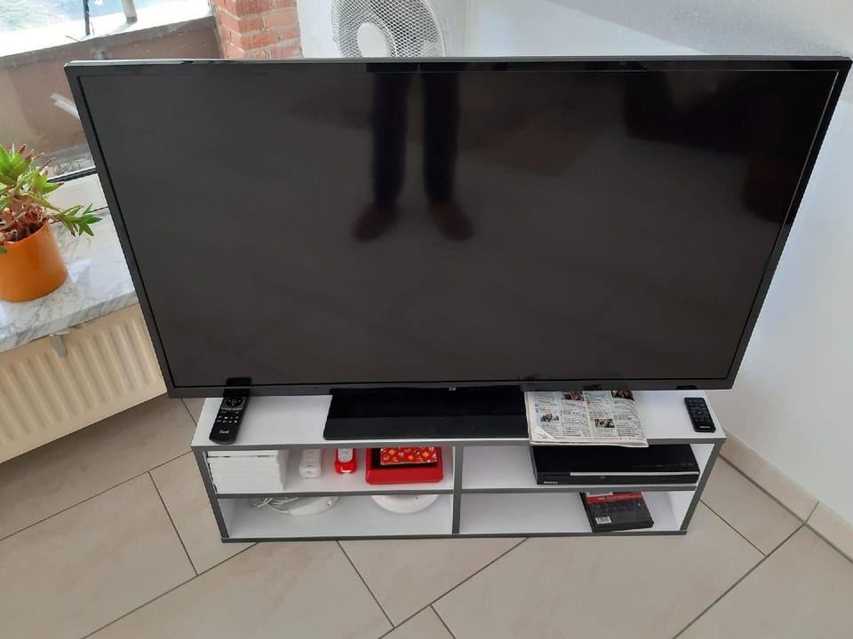 Television