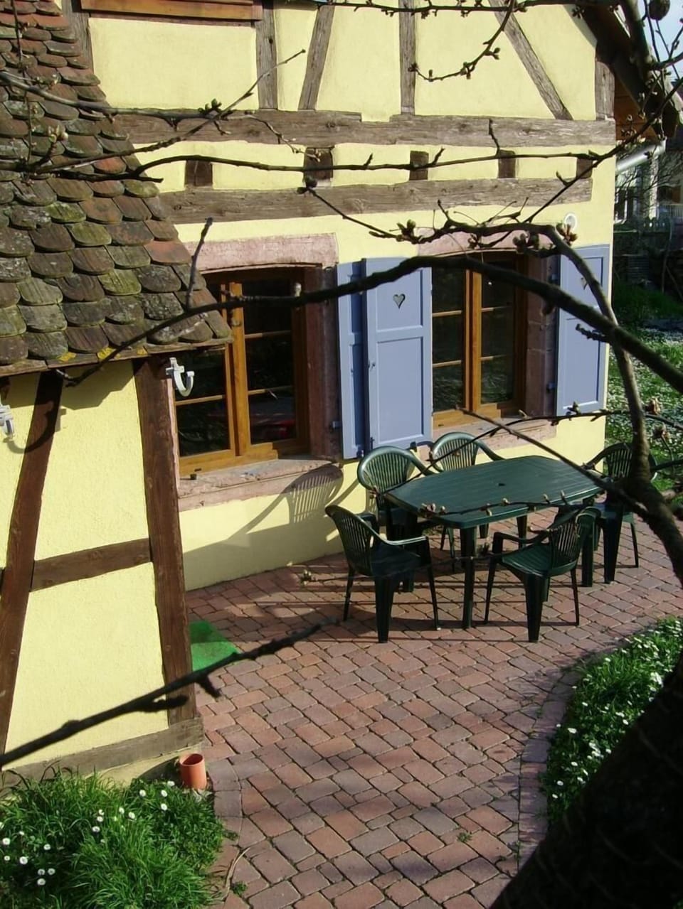 the terrace