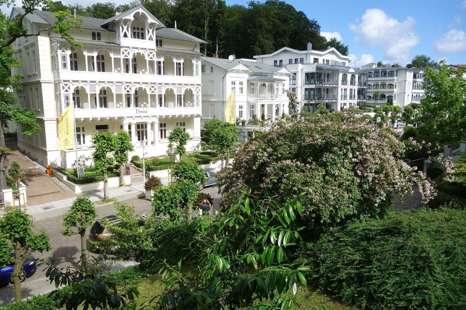 View from the window