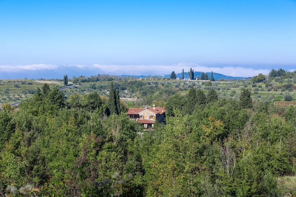 Area that directly surrounds the property