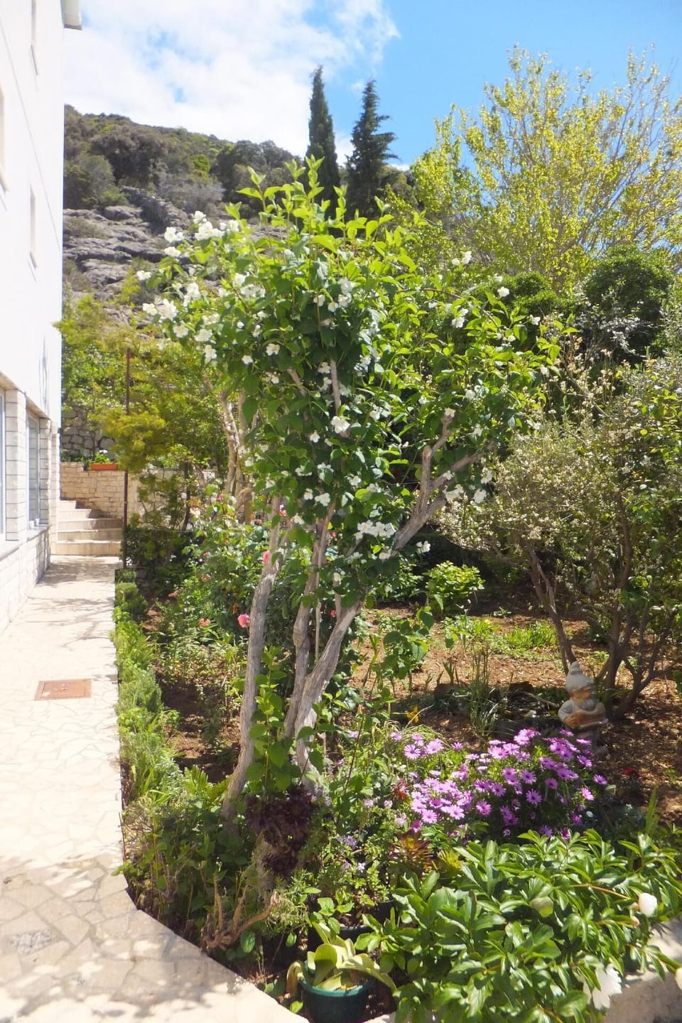 Garden. The passage to the apartment