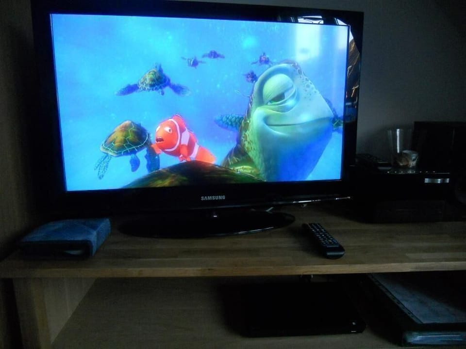 Television