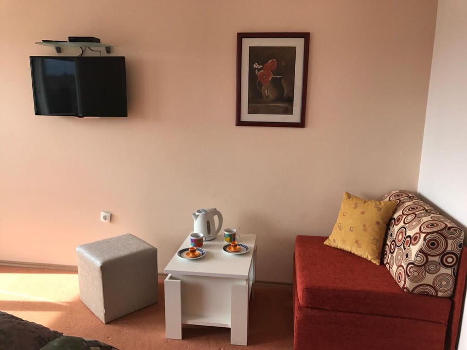 Living area aditional sofa bed