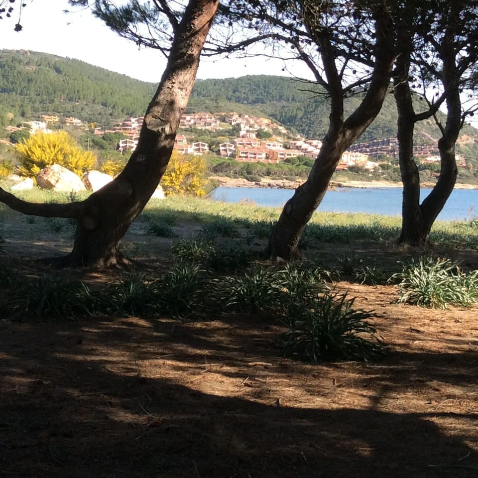 Area that directly surrounds the property