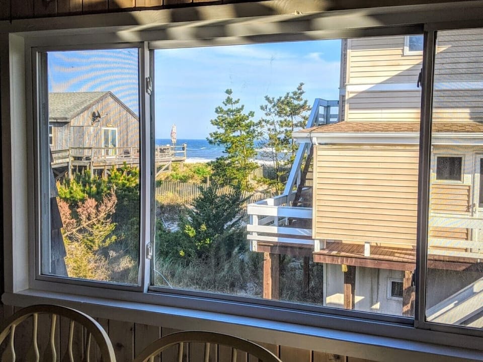 South view from the dining table.