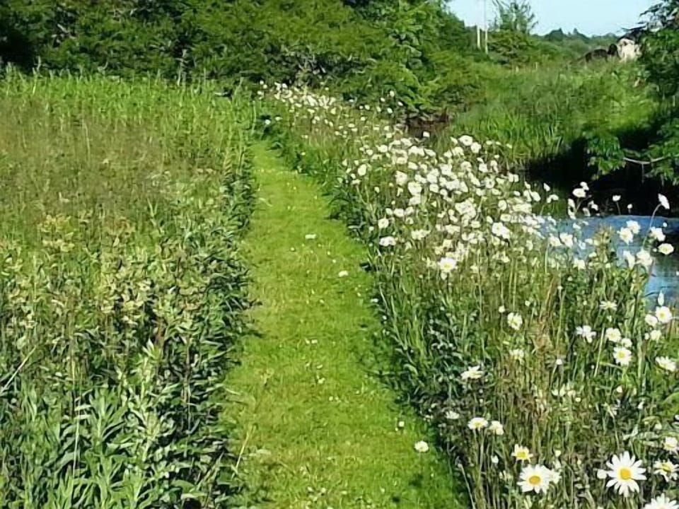 Area that directly surrounds the property. Summer flowers byriver path.