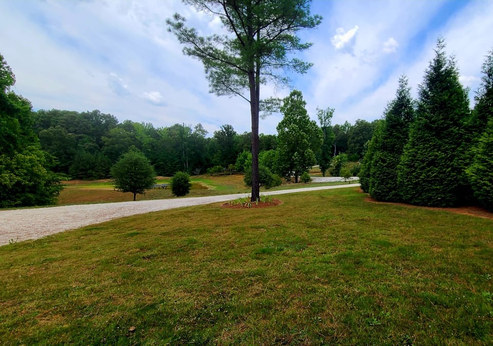 Front porch view from the Magnolia.